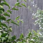 هوای آذربایجان غربی بارانی می شود