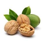 فایده و خاصیت بی نظیر گردو برای سلامت
