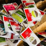 سنگین ترین فساد تاریخ ایران ثبت شد