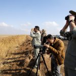 سرشماری زمستانی پرندگان در تالاب‌های نقده آغاز شد