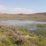 تالاب  «درگه لطف الله» نقده بعد از ۲۵ سال احیاشد