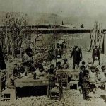 من نمی‌توانم در برابر ظلم و دروغ ساکت بمانم و تسلیم بشوم !